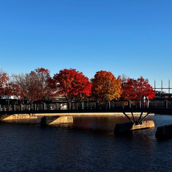 Fall moments. Vieux Montréal.